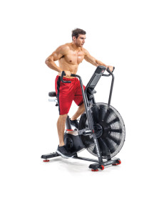  Велотренажер SCHWINN AIRDYNE AD8