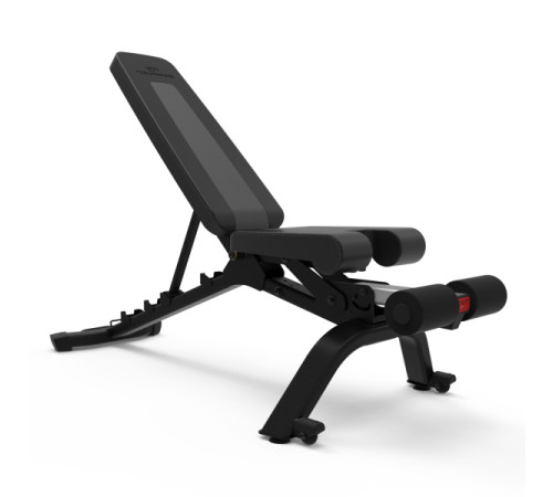 Лавка зі стійкою та гантелями Bowflex SelectTech 1090i