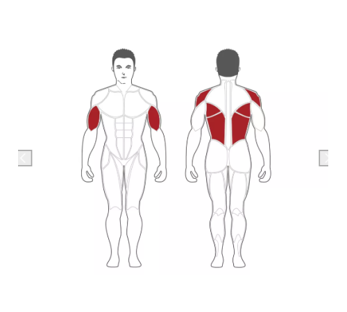 Тренажер Seated Pull Down/Rowing Machine Steelflex PlateLoad Line PLSR чорно-червоний