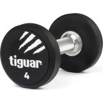 Гантель Tiguar TI-WHPU0040 прогумована 1 х 4 кг