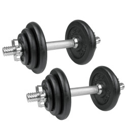 Чавунні гантелі Spokey Egir 2 x 10 кг