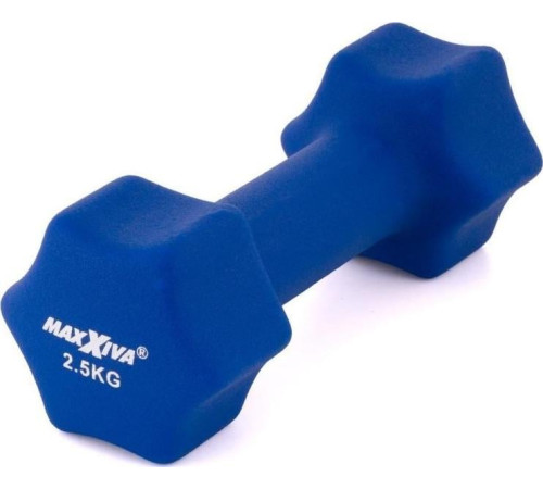 Гантелі Maxxiva D84986 неопренові 2 x 2,5 кг