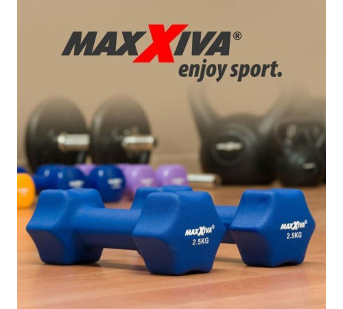 Гантелі Maxxiva D84986 неопренові 2 x 2,5 кг