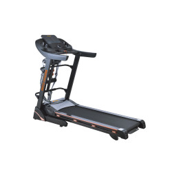 Бігова доріжка електрична WCG-H560М + Гантелі + Масажер 