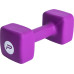 Гантель P2I Dumbell 10 кг