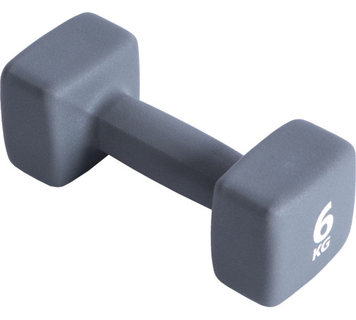 Гантель P2I Dumbell 6 кг