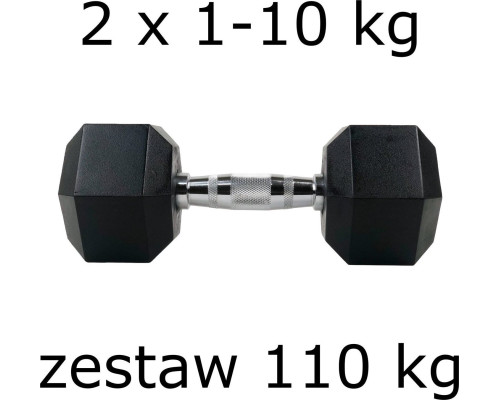 Набір шестигранних гантелей UnderFit 2 x 1-10 кг (110 кг)