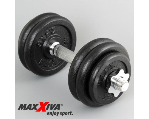 Гантелі Maxxiva D83766 чавунні 2 x 15 кг