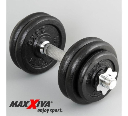 Гантелі Maxxiva D83766 чавунні 2 x 15 кг