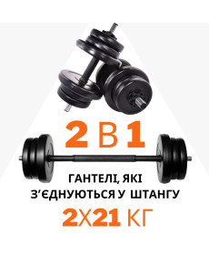 2в1. Гантелі 2х21 кг + перехідник під штангу на 42 кг RN Sport