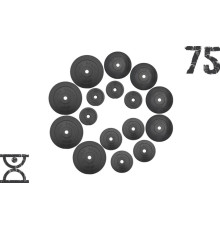 Набір 75 кг RN Sport (4 по 10, 4 по 5, 4 по 2.5, 4 по 1.25) блинов на штангу покрытых пластиком (31 мм)