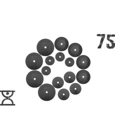 Набір 75 кг RN Sport (4 по 10, 4 по 5, 4 по 2.5, 4 по 1.25) блинов на штангу покрытых пластиком (31 мм)