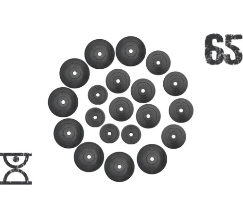 Набір 65 кг (4 по 1.25, 8 по 2.5, 8 по 5 кг) дисків, RN Sport покритих пластиком (31 мм)