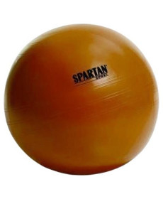 М'яч гімнастичний SPARTAN 85 см Orange