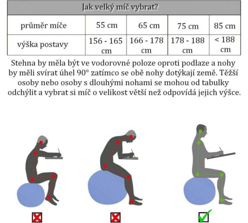Гімнастичний м'яч з насосом Movit 65 cm - рожевий Гімнастичний м'яч з насосом Movit 65 cm - рожевий