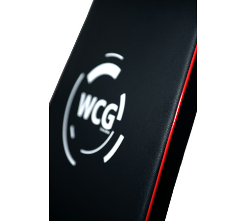 Інверсійний стіл WCG-108 Інверсійний стіл WCG-108