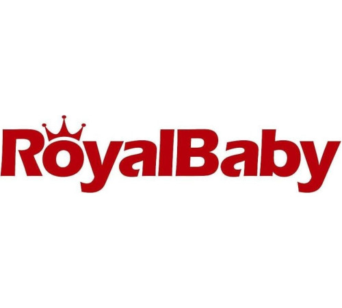 Дитячий велосипед Royalbaby Explorer 16 (CM16-3)