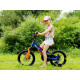 Дитячий велосипед Royalbaby Explorer 16 (CM16-3) темно-зелений