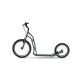 Самокат Yedoo Steel S2016 20/16' - зелений