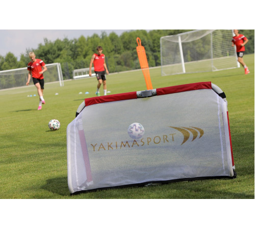 Сітка для воріт Yakimasport Academy, 120 x 80 см