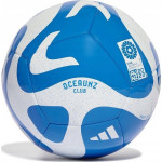 М'яч ADIDAS TRAINING BALL Oceauz Club Ball HZ6933 розмір 5