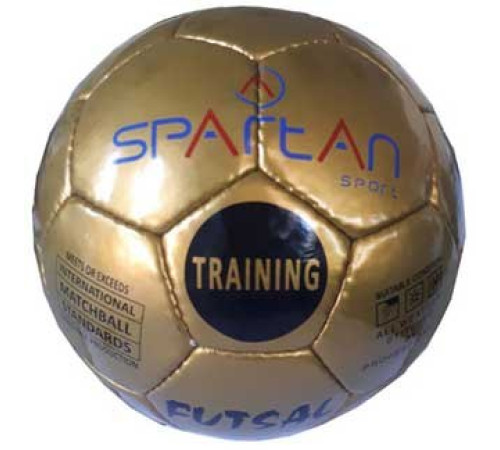 Футбольний м'яч Spartan Futsal 64 см