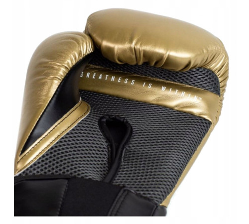 Боксерські рукавички EVERLAST Elite Gold 12 унцій