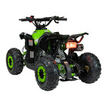 Квадроцикл RENEGADE HIPERFECT 110CC Green