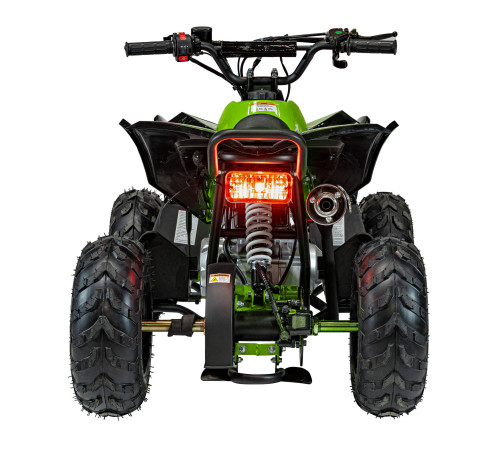 Дитячий акумуляторний квадроцикл RENEGADE HIPERFECT 110CC Зелений