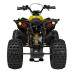 Квадроцикл RENEGADE HIPERFECT 125CC Yellow