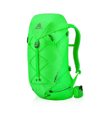 Рюкзак туристичний Gregory ALPINISTO 38 л MD\LG - зелений