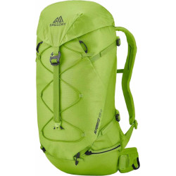 Рюкзак туристичний Gregory ALPINISTO 38 л SM\MD - зелений