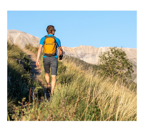 Рюкзак Osprey Daylite Plus Рюкзак Osprey Daylite Plus
