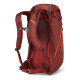 Рюкзак туристичний Gregory 24 л ARRIO 136974/1129