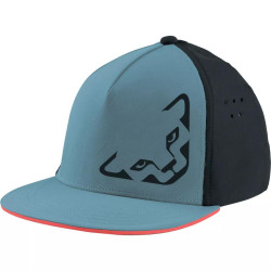 Кепка Dynafit Tech Trucker Cap