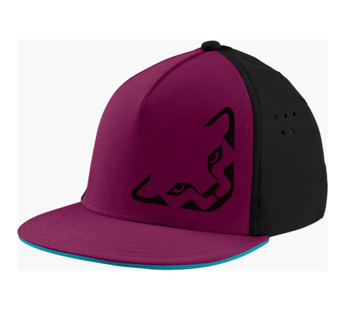 Кепка Dynafit Tech Trucker Cap