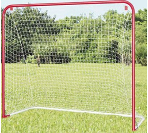 Хокейні ворота ABS Hockey Goal 54"