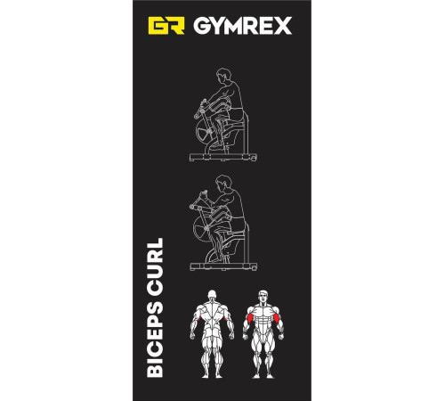 Тренажер для біцепсів Gymrex BICEPS CURL