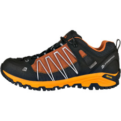 Кросівки Alpine Pro Triglav 3 PTX Low (2018)