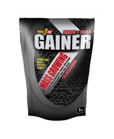 Gainer Power Pro - 1000g Blueberry