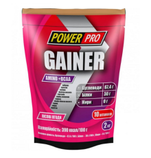 Gainer Power Pro- 2000g Forest Fruit