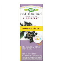 Sambucus Immune Syrup For Kids Nature's Way - 4 oz