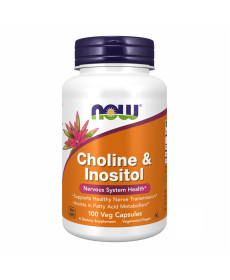 Холін та інозит (CHOLINE & INOSITOL) 250/250мг - 100 капсул