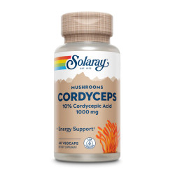 Екстракт гриба Кордицепс (Cordyceps Mushroom Extract) 500мг - 60 капсул