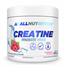 Creatine Muscle Max - 250g