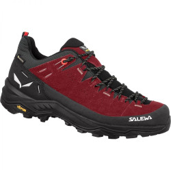 Кросівки ж Salewa ALP TRAINER 2 GTX W 61401 1575 - 37 - бордовий