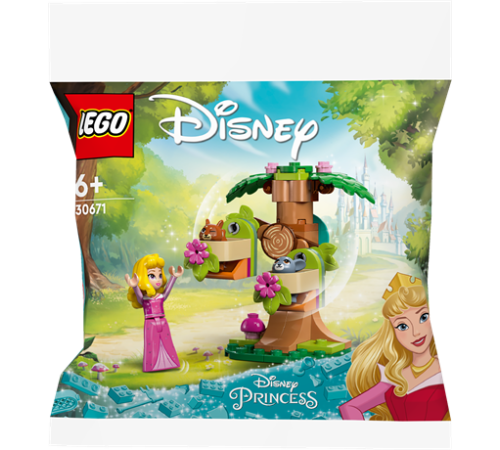 Конструктор LEGO Disney Princess Лісовий ігровий майданчик Аврори 60 деталей (30671) Конструктор LEGO Disney Princess Лісовий ігровий майданчик Аврори 60 деталей (30671)