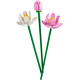 Конструктор LEGO Icons Квіти лотоса 220 ел. (40647)