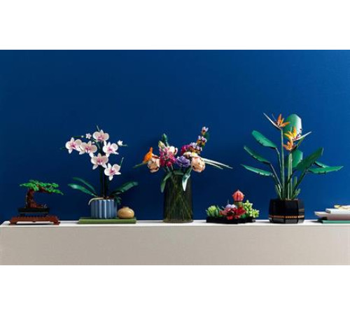 Конструктор LEGO Icons Орхідея 608 деталей (10311) Конструктор LEGO Icons Орхідея 608 деталей (10311)