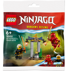 Конструктор LEGO NINJAGO Битва за Храм Кая і Раптона 47 деталей (30650)